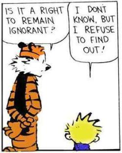Calvin & Hobbes: Ignorance